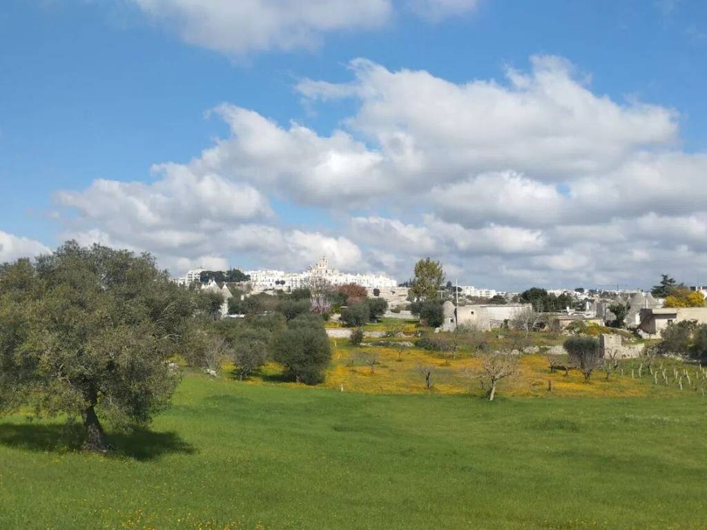 Terreno a Locorotondo in Via Martina Franca No Number - Foto 2