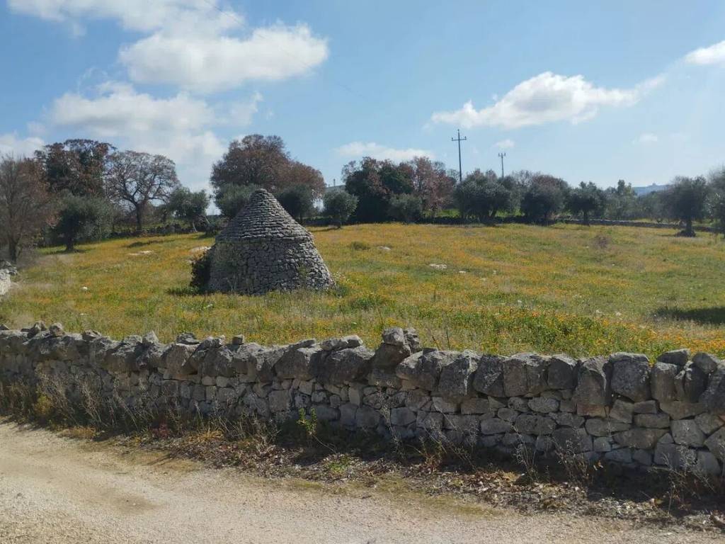 Terreno a Locorotondo in Via Martina Franca No Number - Foto 4