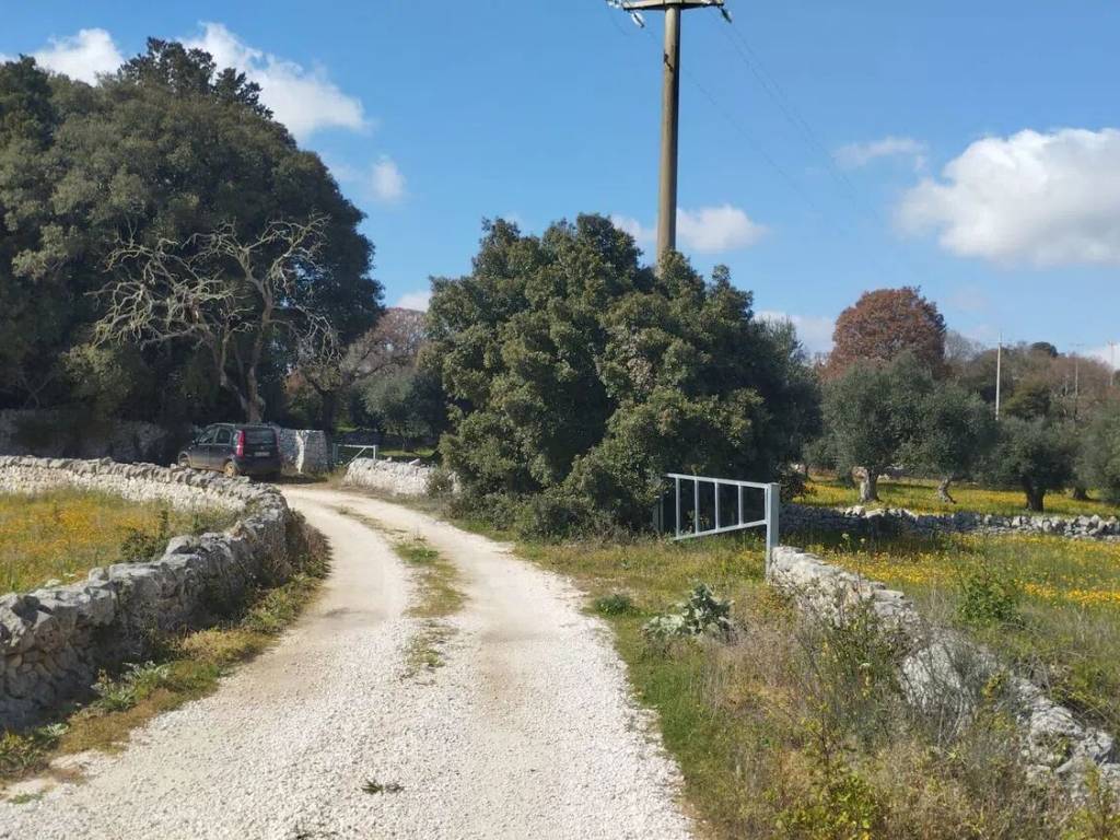 Terreno a Locorotondo in Via Martina Franca No Number - Foto 5
