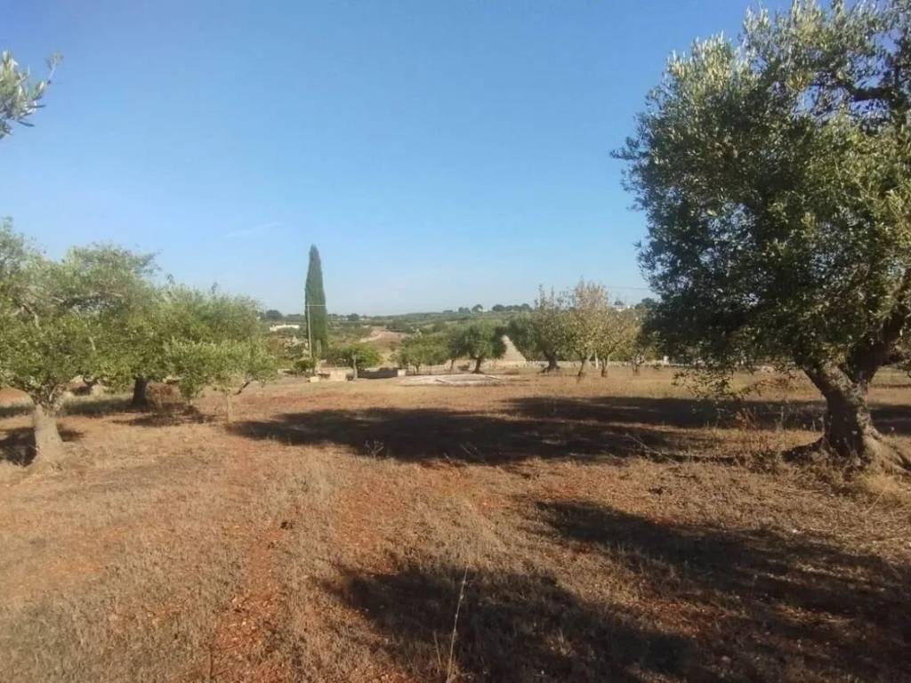 Terreno a Martina franca in Contrada Volza No Number - Foto 5