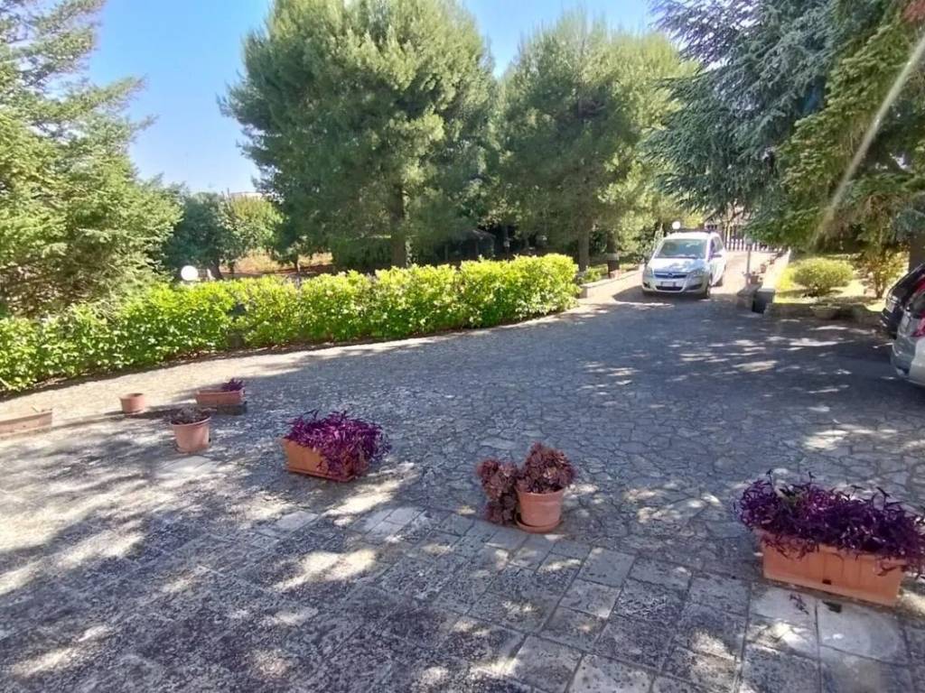Villa a Locorotondo in Contrada Catuscio No Number - Foto 4