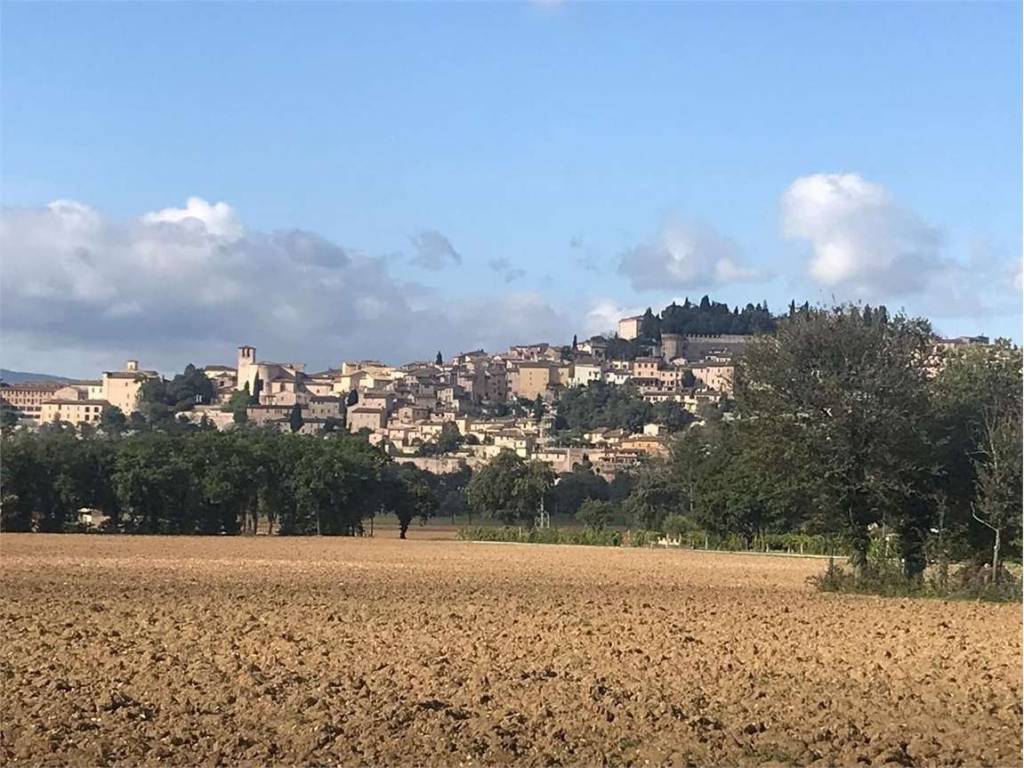 Rustico / casale a Spello in Quattro Venti, 73-65 - Foto 5
