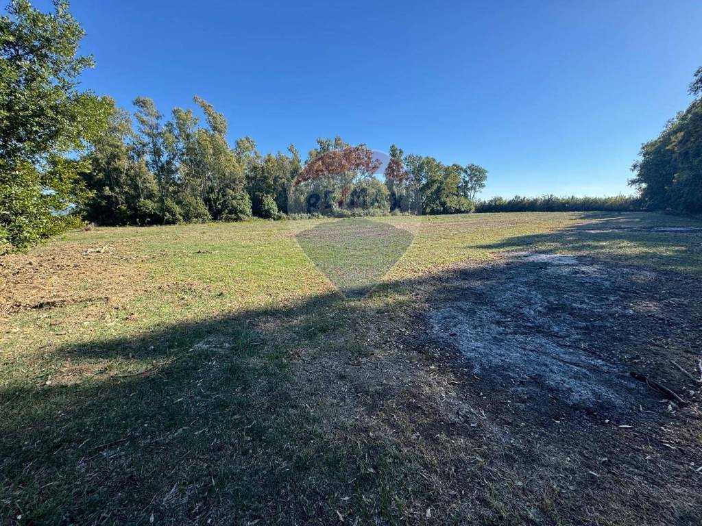 Terreno a Minturno in contrada pantanella - Foto 2