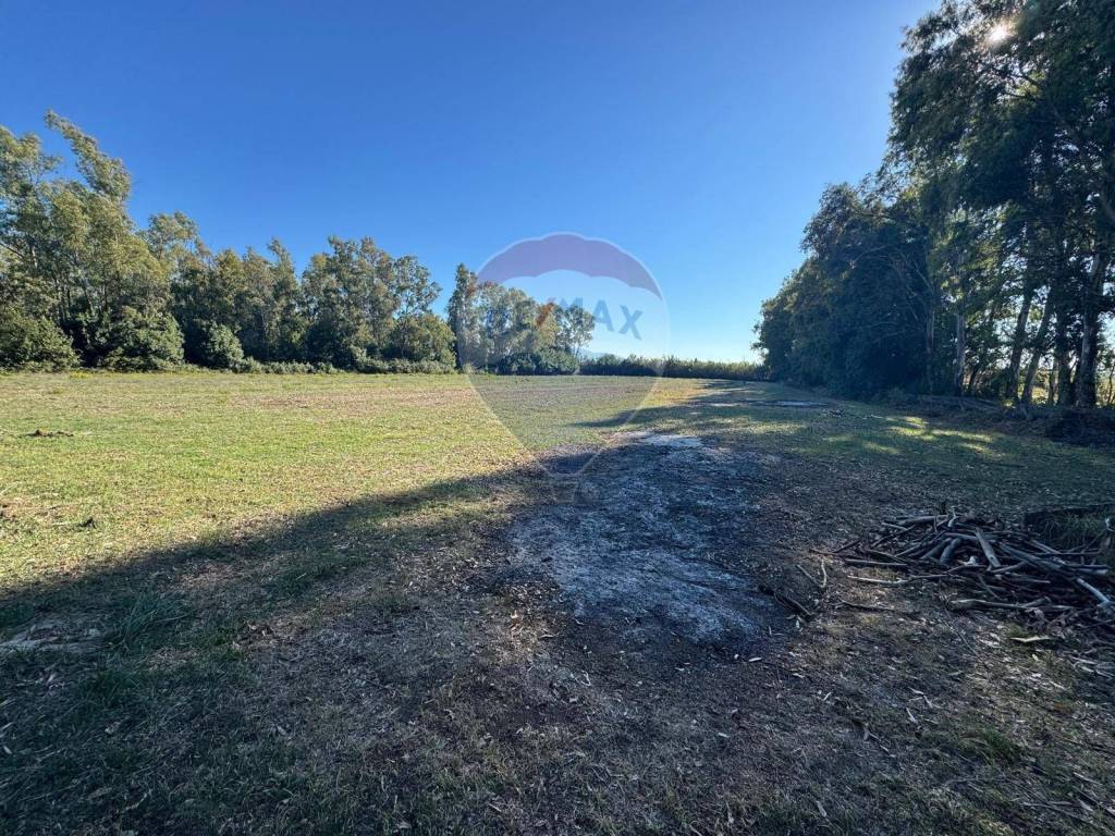 Terreno a Minturno in contrada pantanella - Foto 3