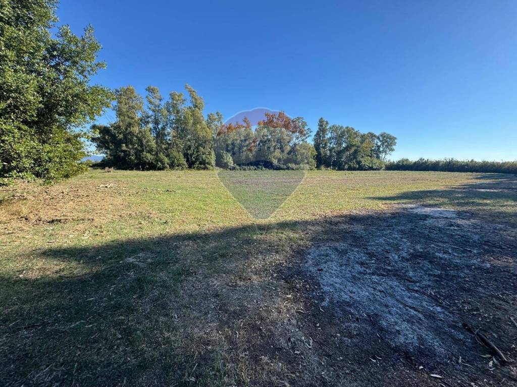 Terreno a Minturno in contrada pantanella - Foto 4