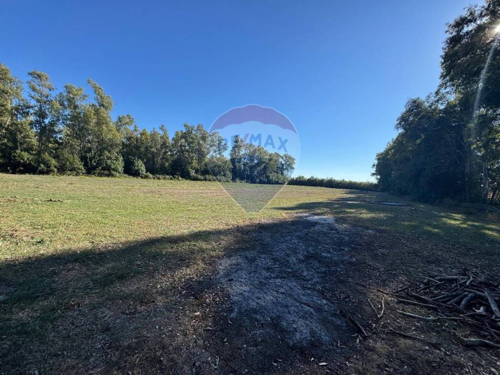 Terreno a Minturno in contrada pantanella - Foto 5