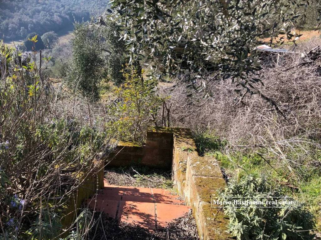 Rustico / casale a Castiglione della pescaia in Strada Provinciale Di Macchiascandona No Number - Foto 2