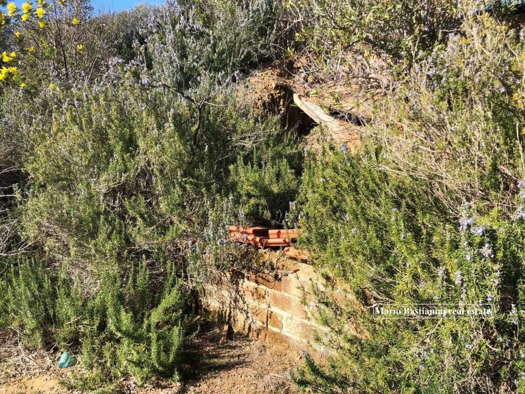 Rustico / casale a Castiglione della pescaia in Strada Provinciale Di Macchiascandona No Number - Foto 3