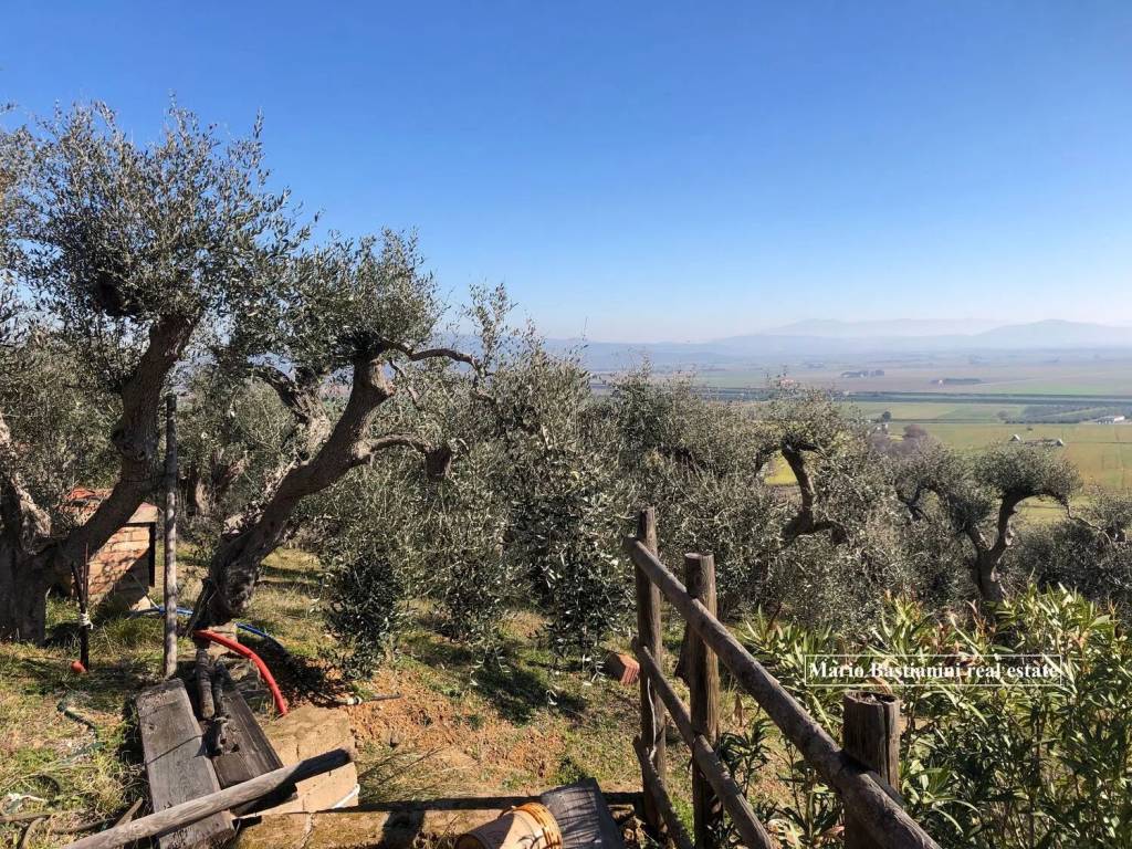 Rustico / casale a Castiglione della pescaia in Strada Provinciale Di Macchiascandona No Number - Foto 4