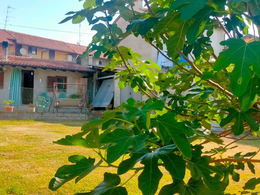 Casa indipendente a Divignano in Via Sempione - Foto 3