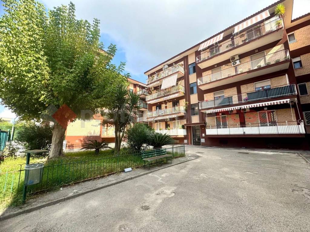 Appartamento a Quarto in Via Giorgio De Falco - Foto 3