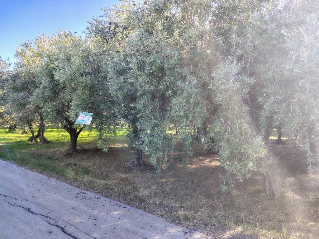 Terreno a Lanciano - Foto 2