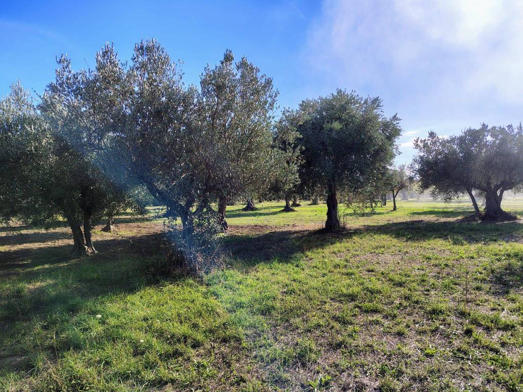 Terreno a Lanciano - Foto 3