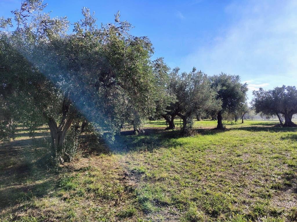 Terreno a Lanciano - Foto 4
