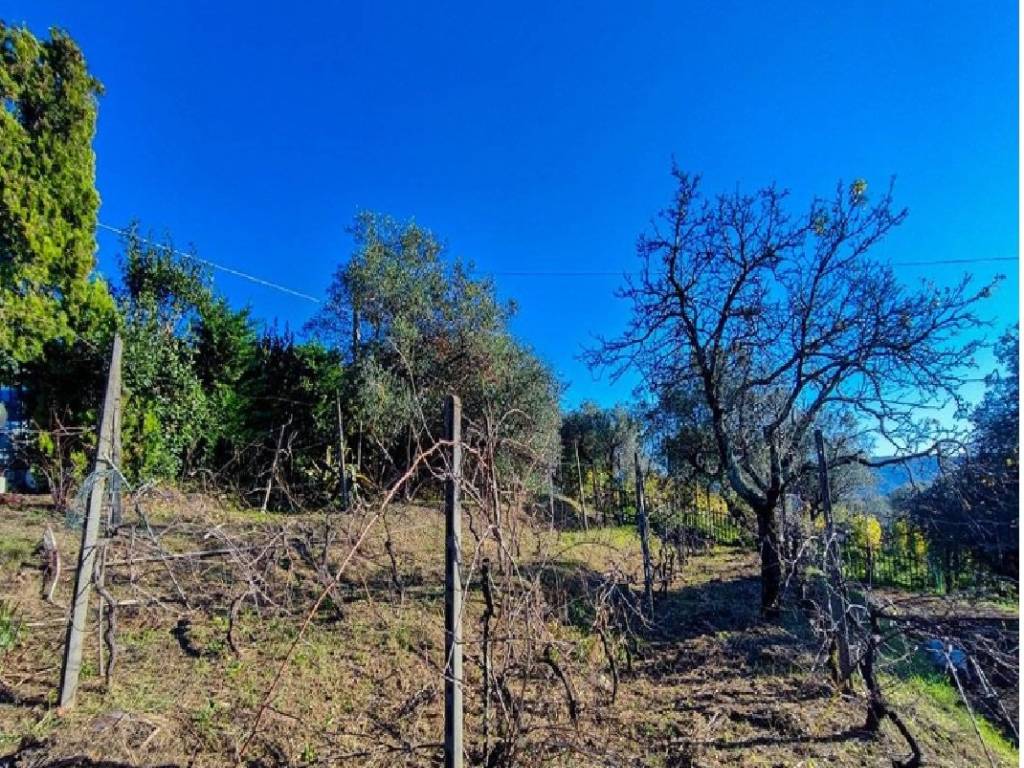 Rustico / casale a Vezzano ligure in Via Masignano, 17 - Foto 2