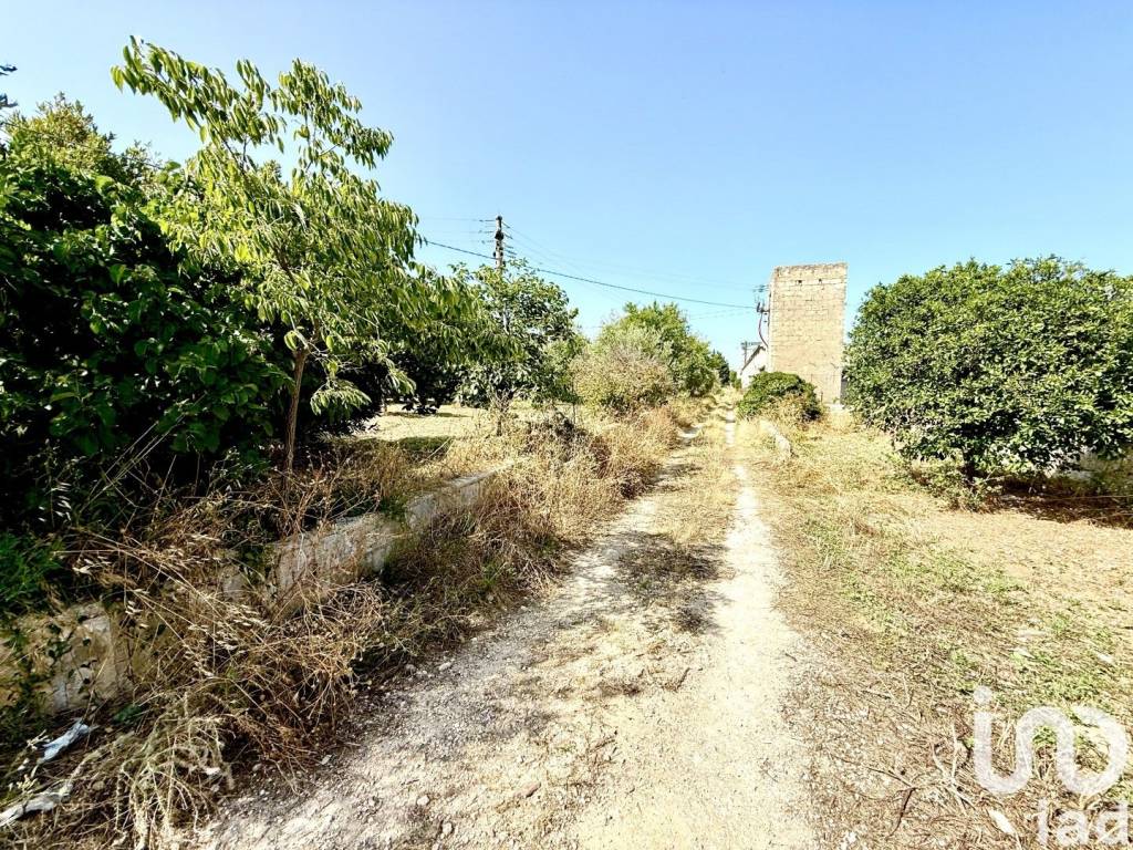 Terreno a Noto in Strada provinciale 11 (contrada Coda Lupo), 0 - Foto 3