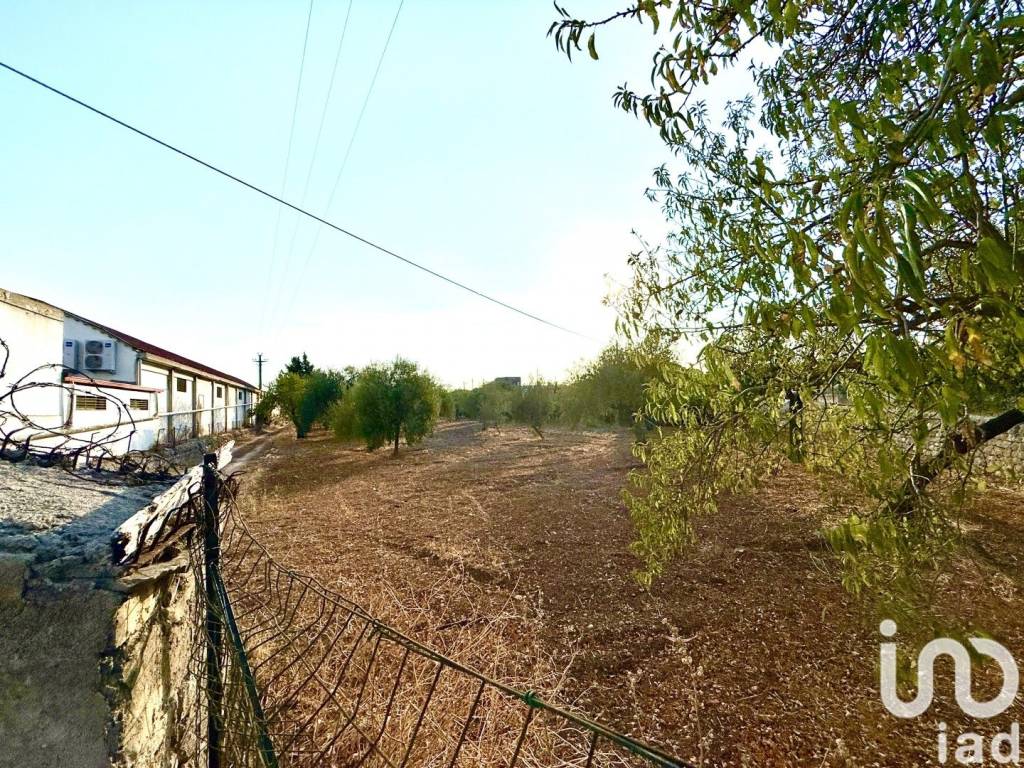 Terreno a Noto in Strada provinciale 11 (contrada Coda Lupo), 0 - Foto 4