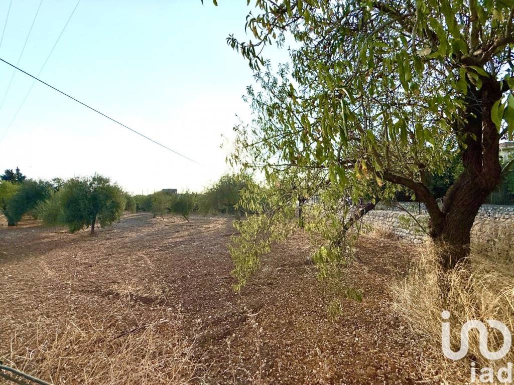 Terreno a Noto in Strada provinciale 11 (contrada Coda Lupo), 0 - Foto 5
