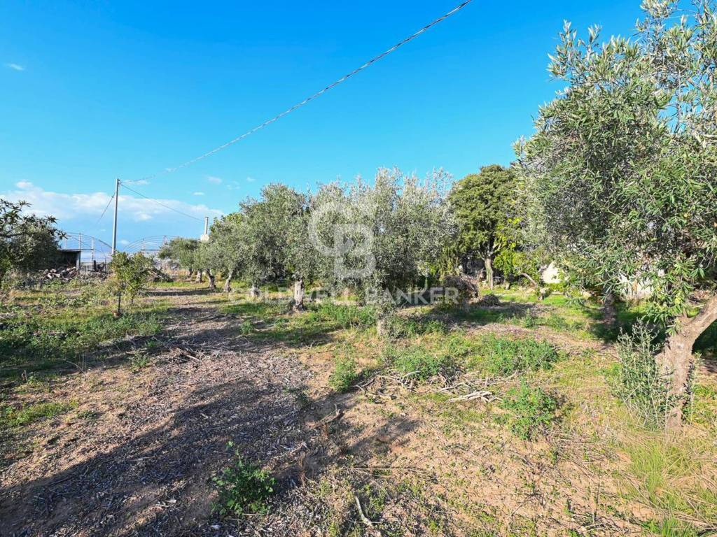 Villa a Chiaramonte gulfi in Contrada Mortilla - Foto 5