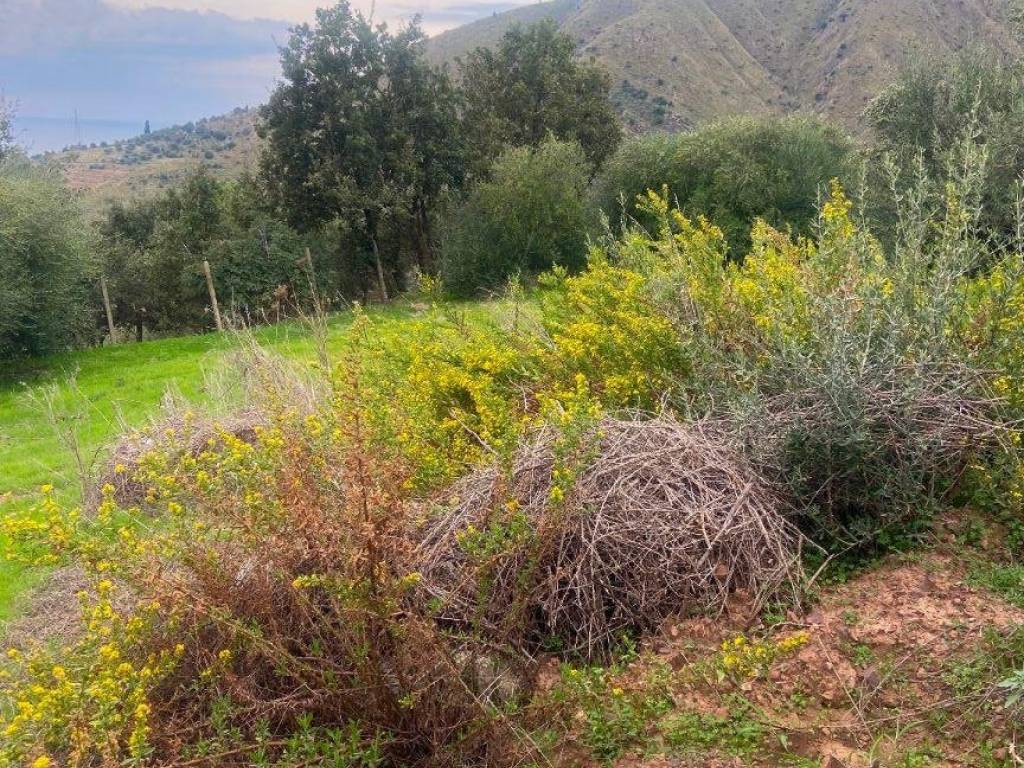 Terreno a Gratteri in Contrada Rapputi - Foto 3