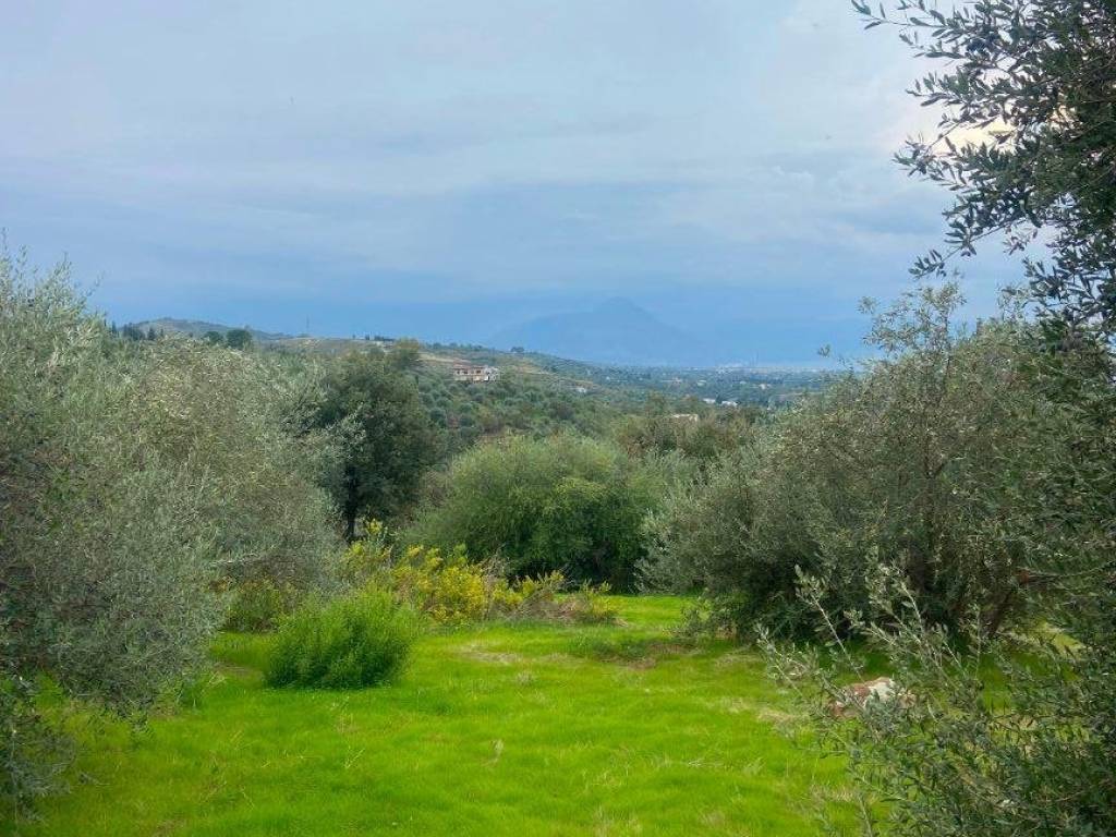 Terreno a Gratteri in Contrada Rapputi - Foto 5