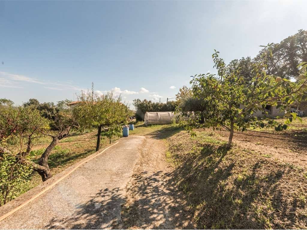Villa a Collecorvino in VIA DELLE VIGNE, 8 - Foto 2