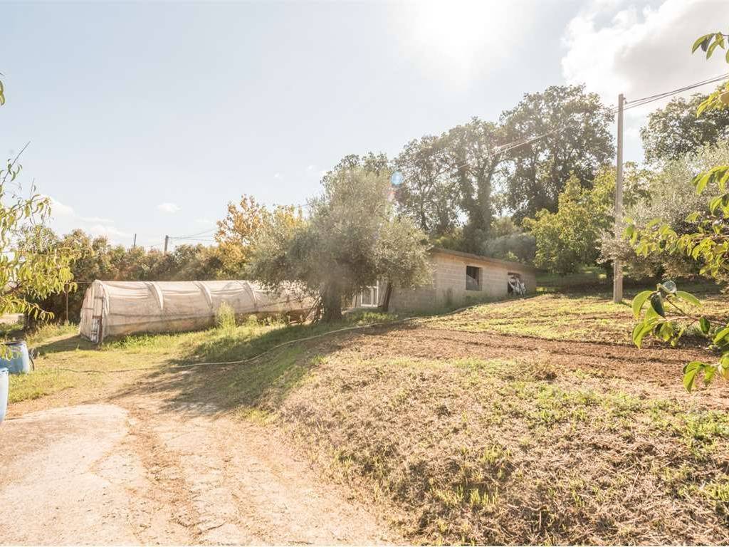 Villa a Collecorvino in VIA DELLE VIGNE, 8 - Foto 3