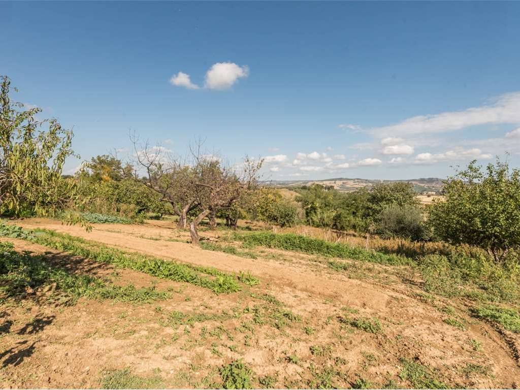 Villa a Collecorvino in VIA DELLE VIGNE, 8 - Foto 4