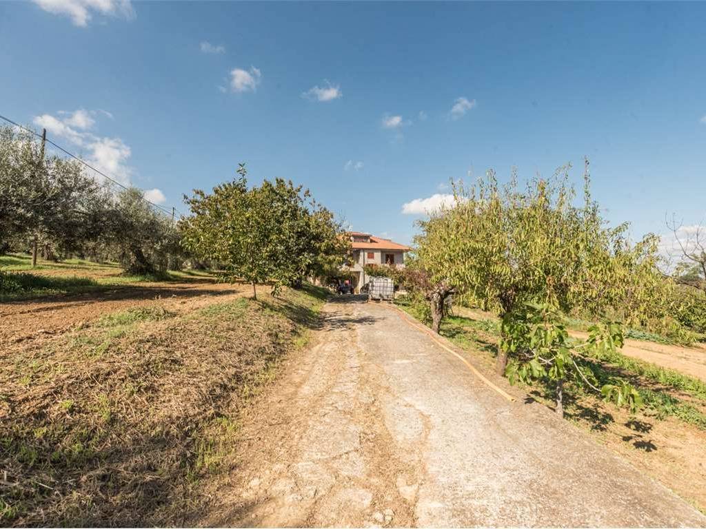 Villa a Collecorvino in VIA DELLE VIGNE, 8 - Foto 5