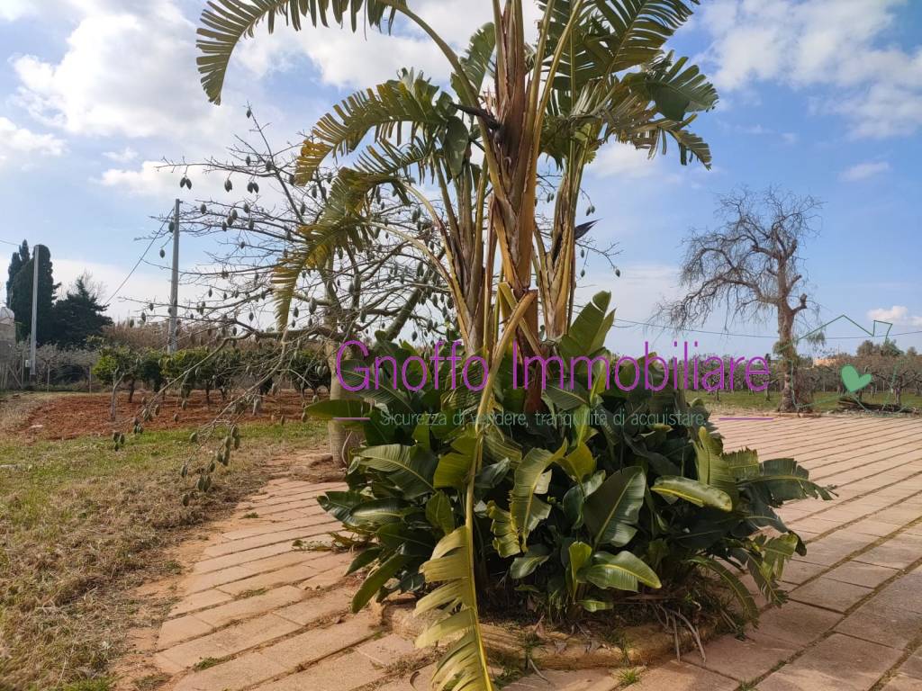 Villa a Trapani in Via Michele Amari - Foto 5