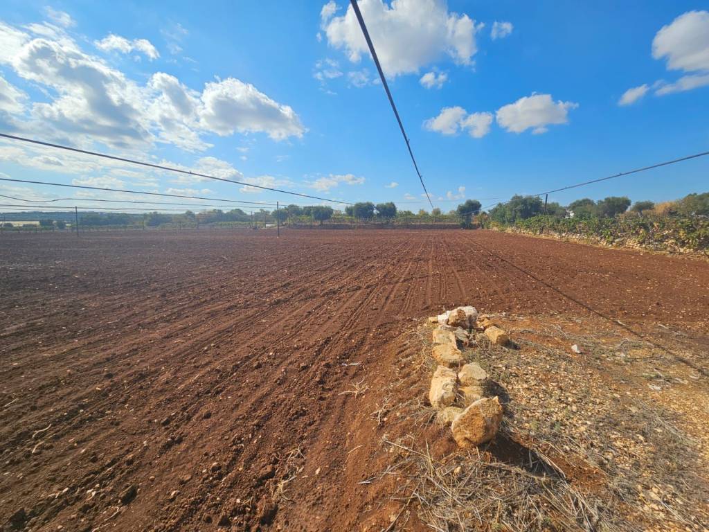Terreno a Polignano a mare in Strada Comunale Santa Candida - Foto 2