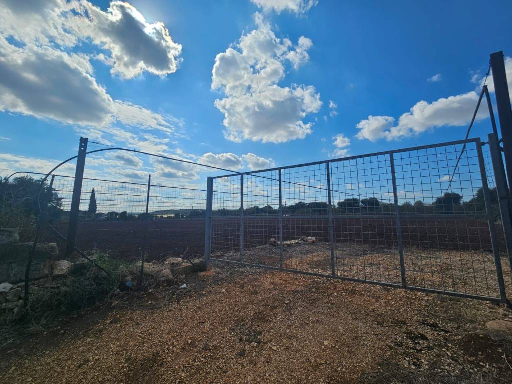 Terreno a Polignano a mare in Strada Comunale Santa Candida - Foto 3