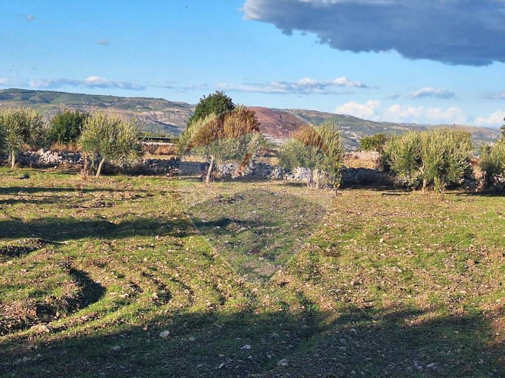 Terreno a Rosolini in Contrada Cozzo Cisterna - Foto 2