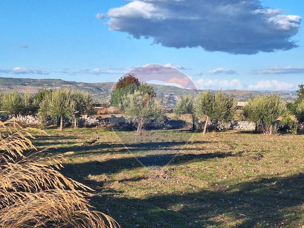 Terreno a Rosolini in Contrada Cozzo Cisterna - Foto 3