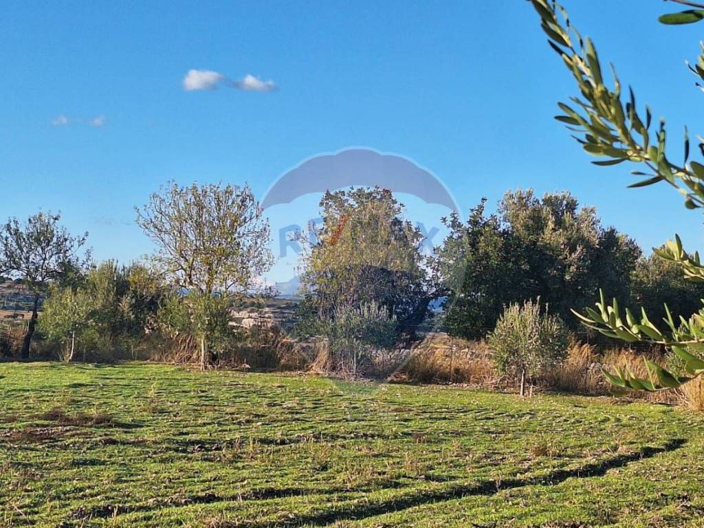 Terreno a Rosolini in Contrada Cozzo Cisterna - Foto 5