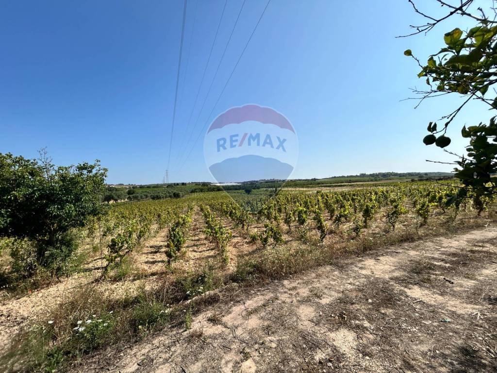 Terreno a Noto in Contrada Maccari - Foto 2