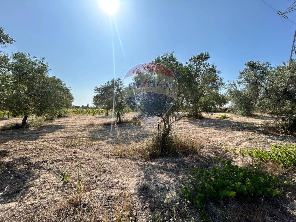 Terreno a Noto in Contrada Maccari - Foto 4