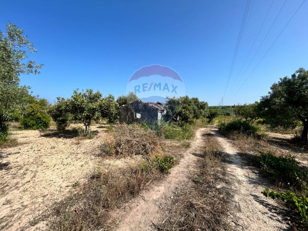 Terreno a Noto in Contrada Maccari - Foto 5