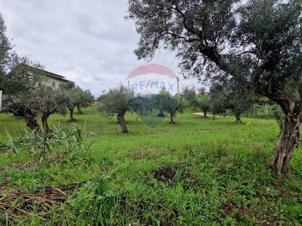 Terreno a Bucchianico - Foto 2