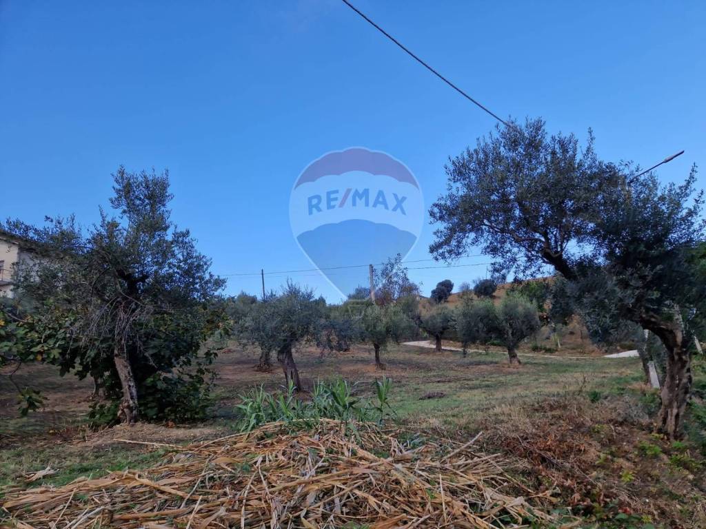 Terreno a Bucchianico - Foto 3