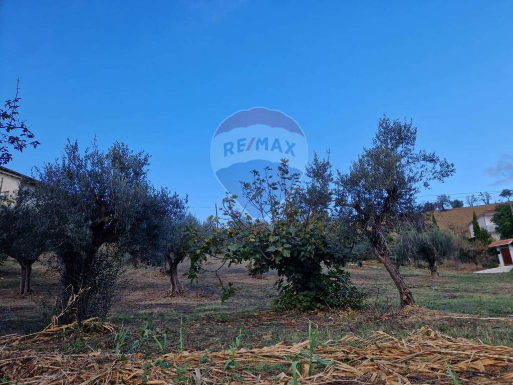 Terreno a Bucchianico - Foto 4