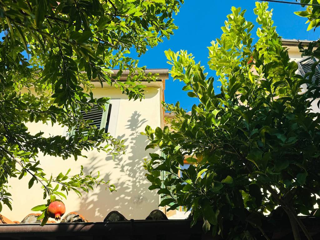 Casa indipendente a Pistoia - Foto 2