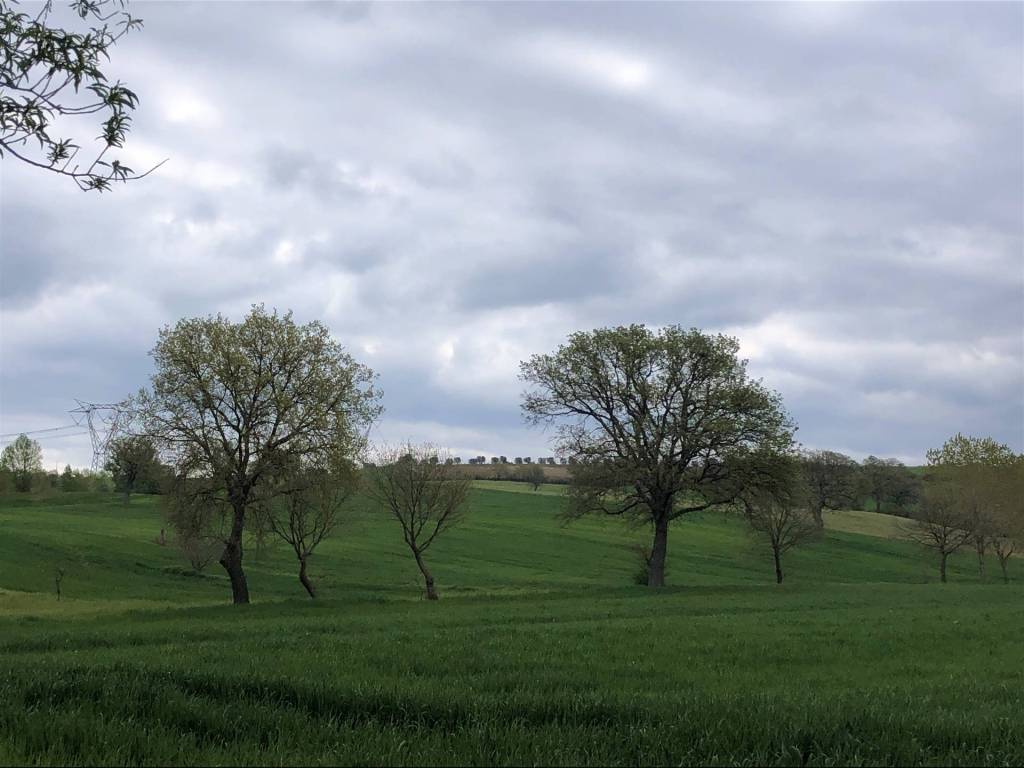 Appartamento a Cinigiano - Foto 5