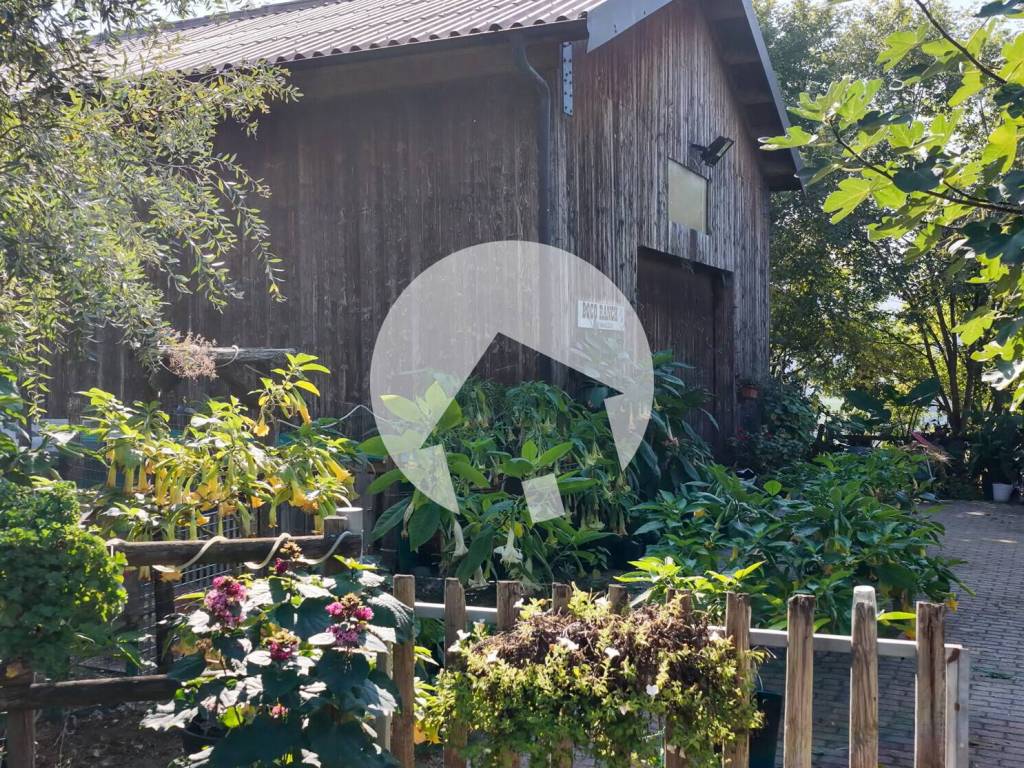Rustico / casale a Casina in Via Piazza - Foto 2