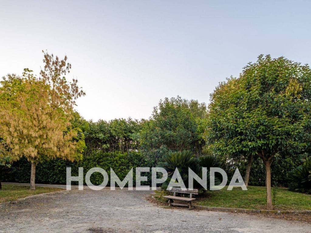 Rustico / casale a Morolo in SP 24 - Foto 3