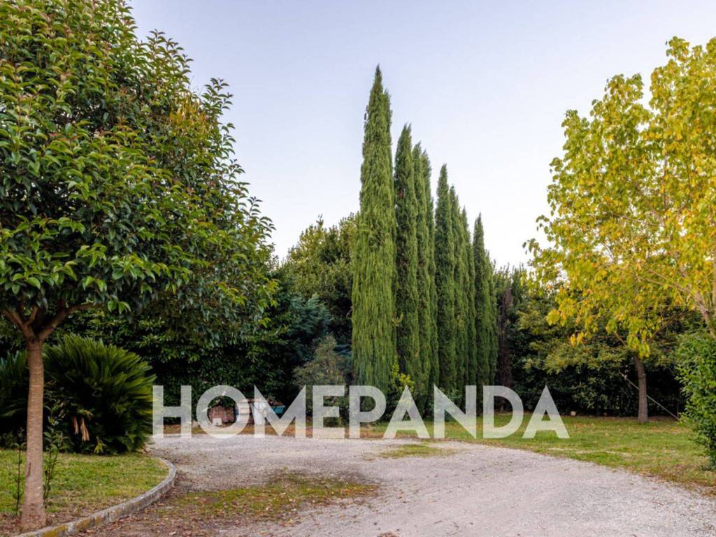 Rustico / casale a Morolo in SP 24 - Foto 4