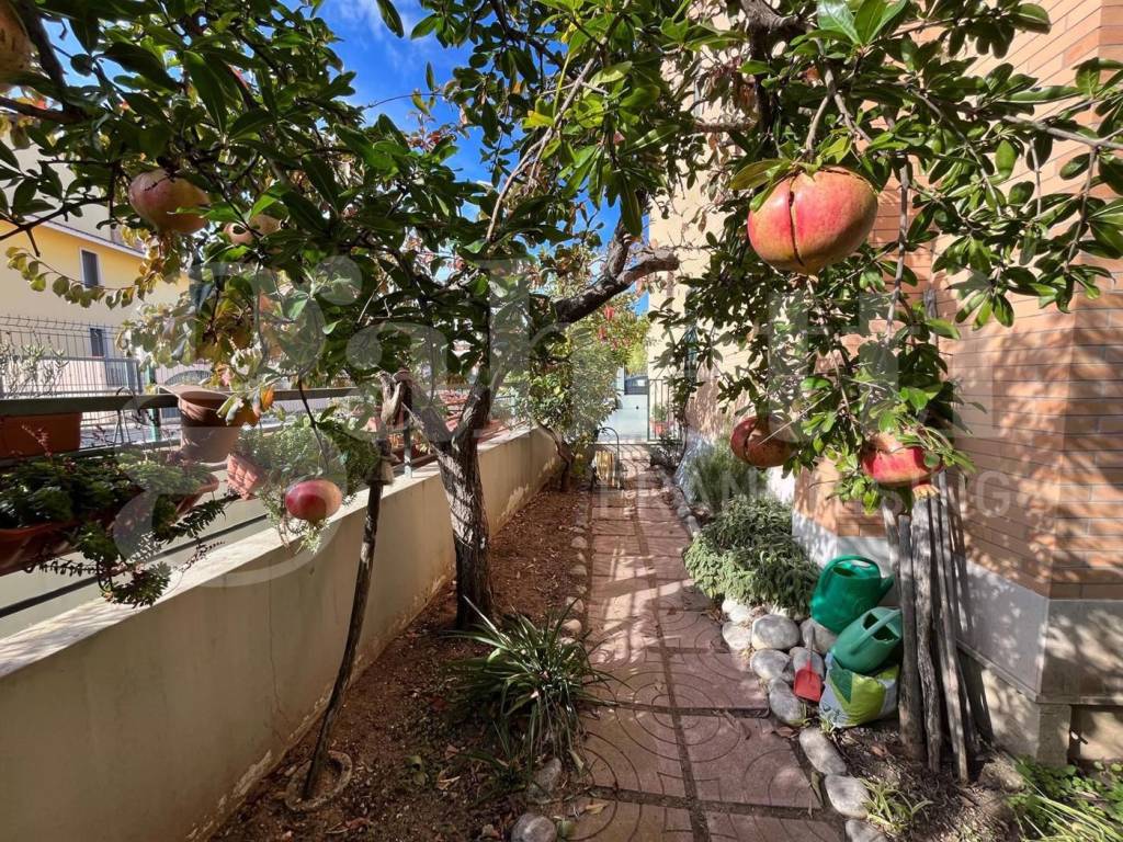 Casa indipendente a San severo - Foto 2