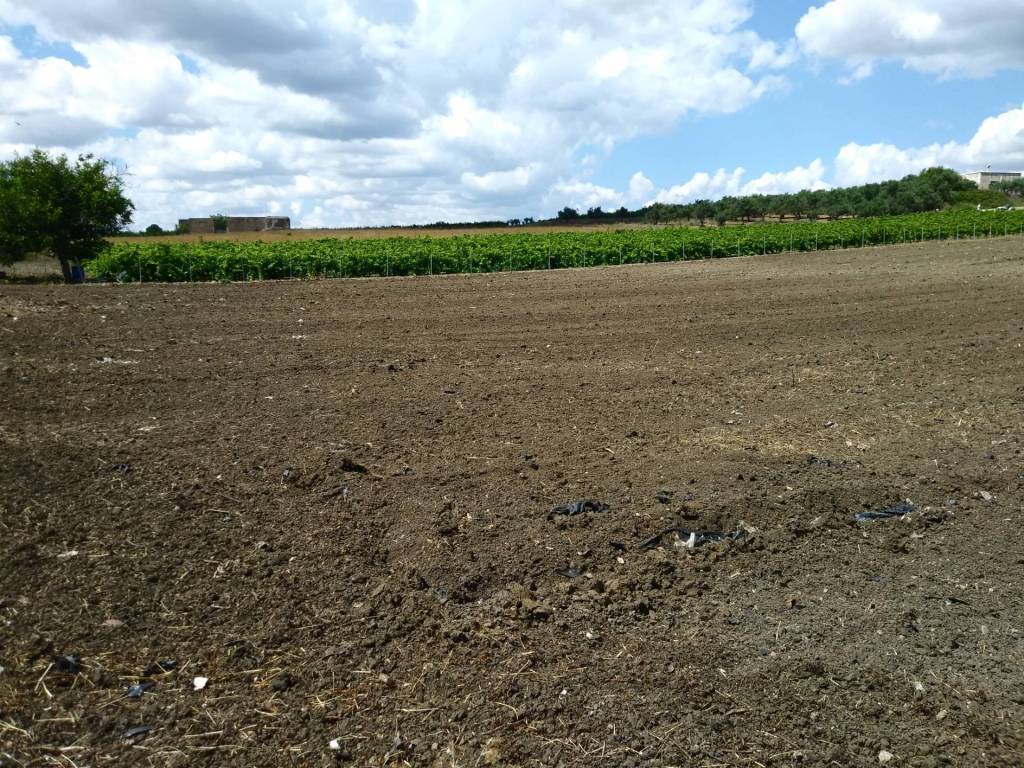 Terreno a Castelvetrano in Via Catullo - Foto 2