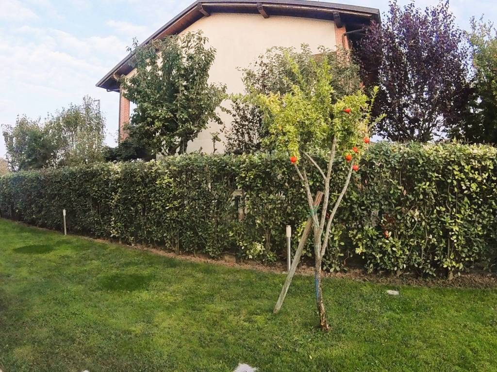 Villetta a schiera a Medicina - Foto 2