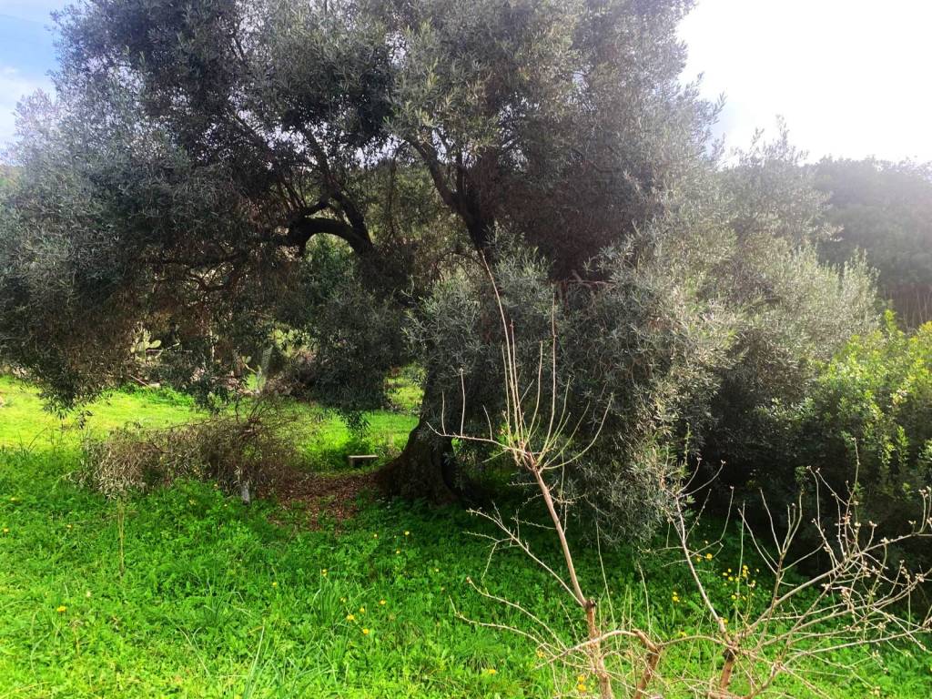 Terreno a Dolianova in Via Soleminis - Foto 2